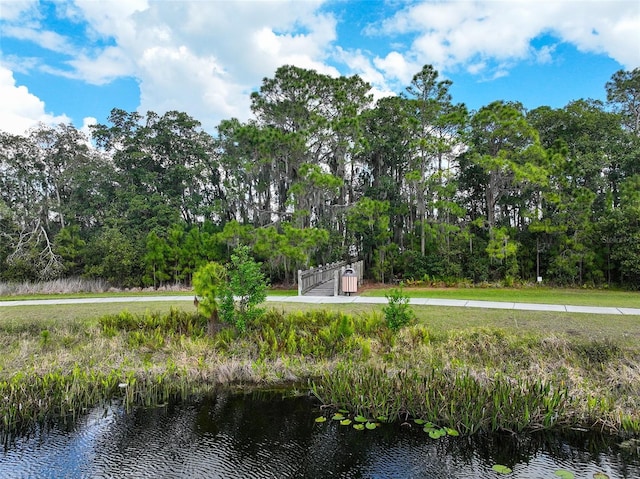 7013 Beargrass Rd, Harmony, FL 34773 - view of community featuring a water view and view of wooded area