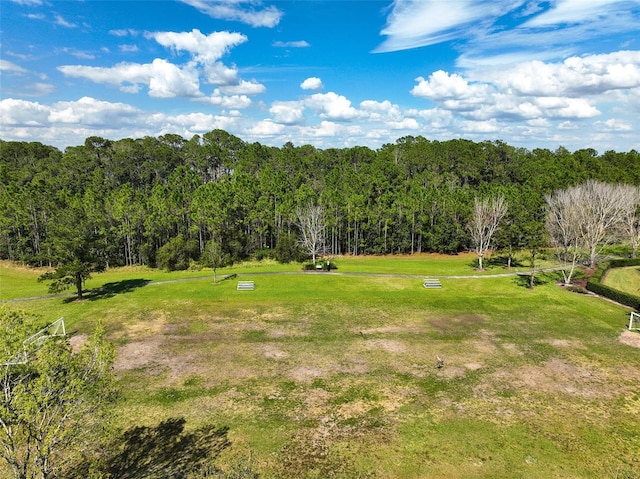 7013 Beargrass Rd, Harmony, FL 34773 - view of green lawn with a forest view