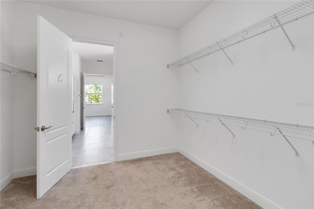 5009 E Fountainwood Dr, Saint Cloud, FL 34772 - spacious closet with light carpet
