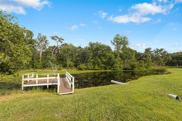 2851 Wagon Ct, Saint Cloud, FL 34772 - photo 66