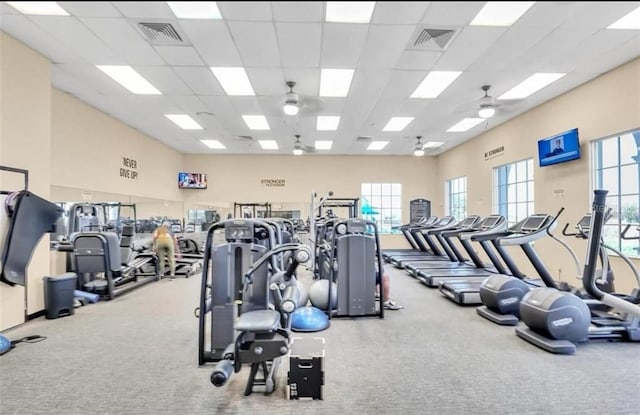 1211 Terralago Way, Kissimmee, FL 34746 - gym featuring ceiling fan, carpet flooring, and a drop ceiling