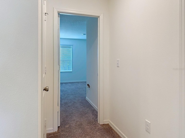 895 Overpool Ave, Davenport, FL 33896 - corridor with dark carpet and baseboards