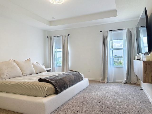895 Overpool Ave, Davenport, FL 33896 - bedroom featuring a tray ceiling, light colored carpet, and baseboards