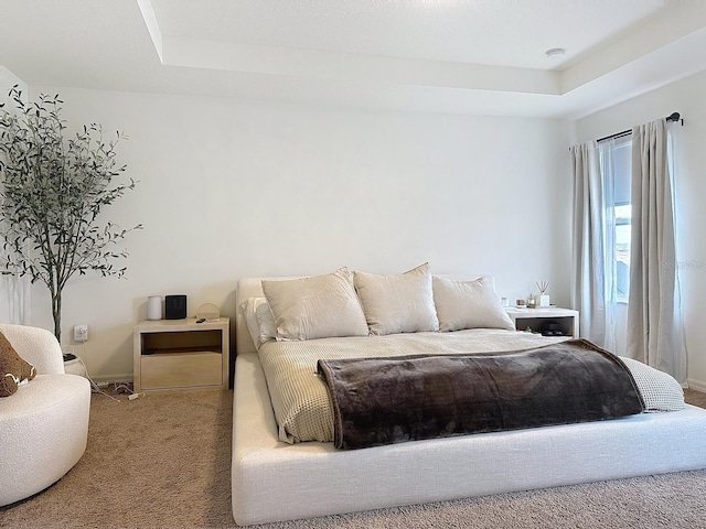895 Overpool Ave, Davenport, FL 33896 - bedroom with a raised ceiling, carpet, and baseboards