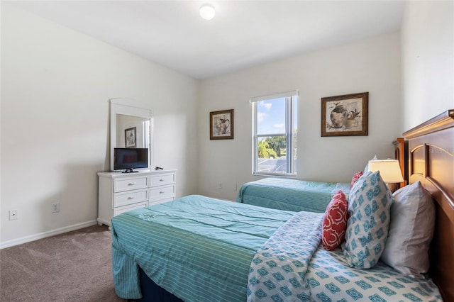 833 Brunello Dr, Davenport, FL 33897 - carpeted bedroom featuring baseboards