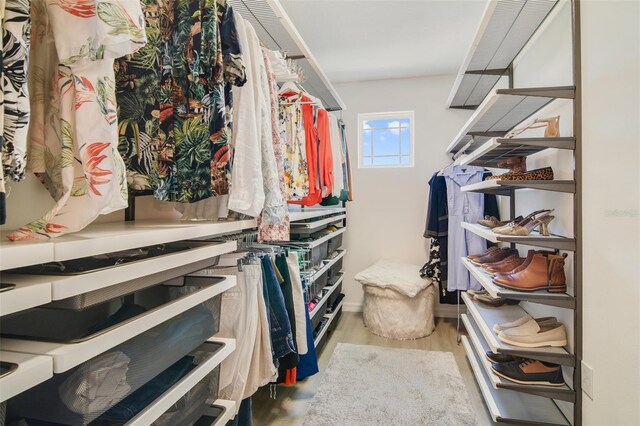 8042 Glenlloyd Ave, Winter Garden, FL 34787 - spacious closet with wood finished floors