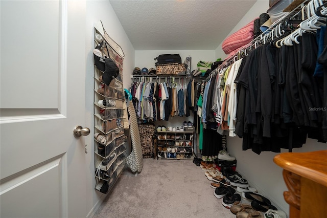 1113 Merrill St, Davenport, FL 33837 - spacious closet with carpet