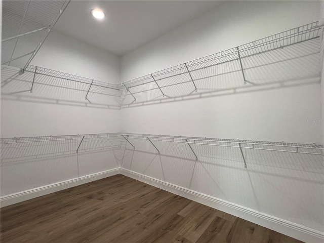 814 Gator Ln, Deltona, FL 32738 - spacious closet with dark wood-type flooring