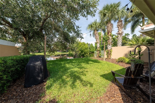 12041 Kajetan Ln, Orlando, FL 32827 - view of yard