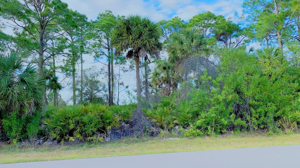 22028 Seyburn Ter, Port Charlotte, FL 33954