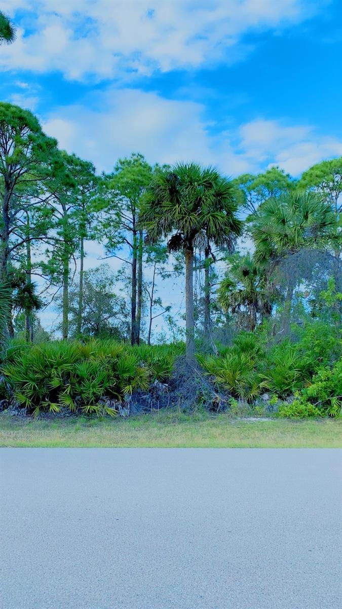 22028 Seyburn Ter, Port Charlotte, FL 33954