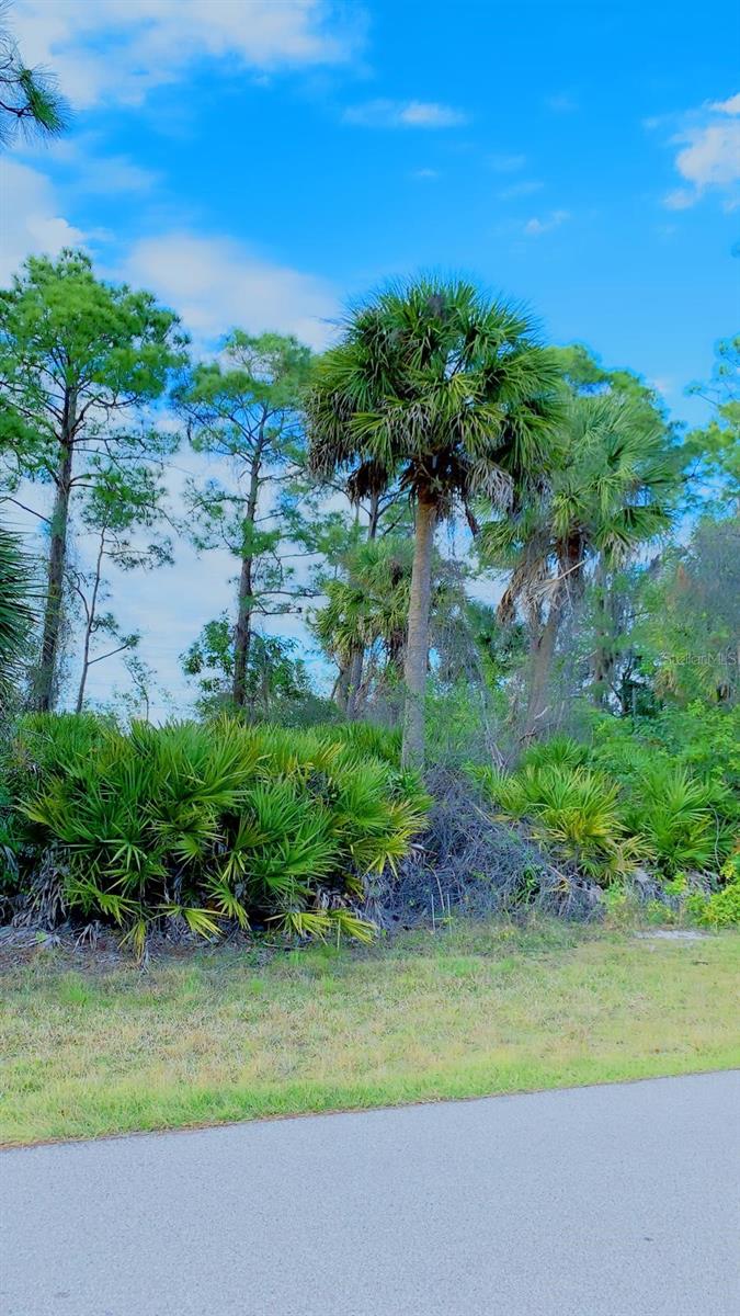 22028 Seyburn Ter, Port Charlotte, FL 33954