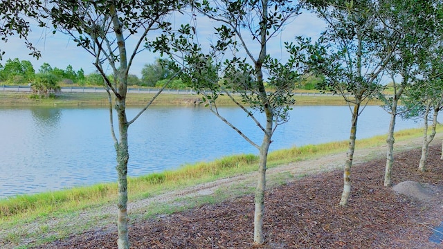 22028 Seyburn Ter, Port Charlotte, FL 33954