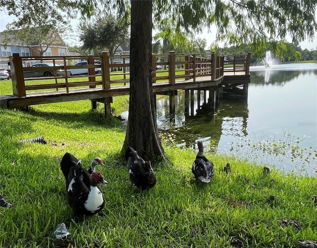 4008 San Gallo Dr Unit 106, Kissimmee, FL 34741 - dock area with a water view