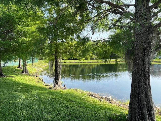 4008 San Gallo Dr Unit 106, Kissimmee, FL 34741 - water view