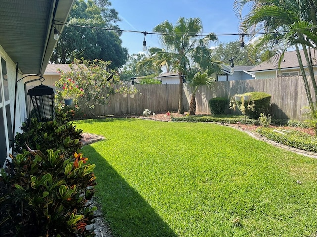 4926 Reginald Rd, Orlando, FL 32829 - view of yard