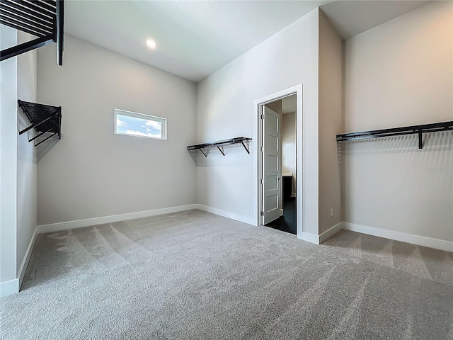 15121 Pendio Dr, Montverde, FL 34756 - walk in closet featuring carpet flooring