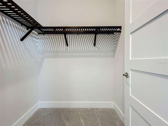 15121 Pendio Dr, Montverde, FL 34756 - walk in closet with carpet flooring