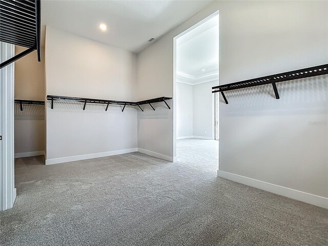 15121 Pendio Dr, Montverde, FL 34756 - walk in closet with carpet floors