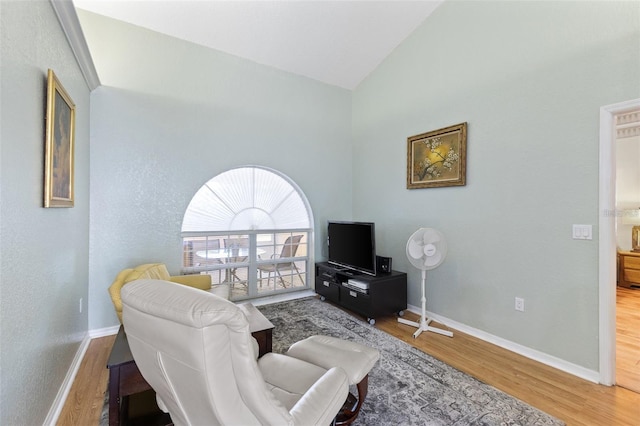 7222 Stanford Dr, Lakeland, FL 33809 - living room with wood finished floors, baseboards, and high vaulted ceiling