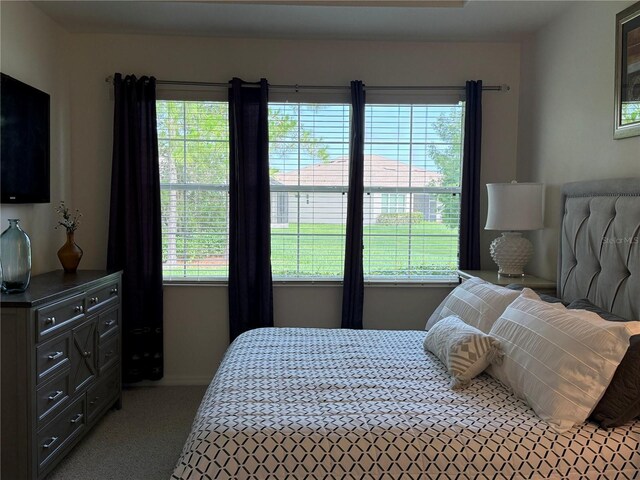 2495 Palm Tree Dr, Kissimmee, FL 34759 - bedroom with multiple windows and light carpet