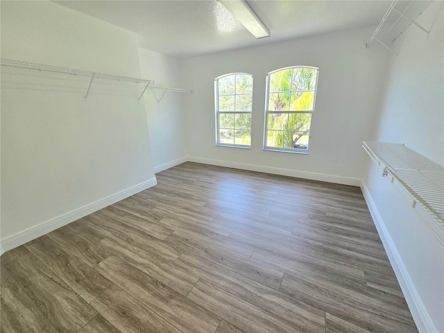 5704 Ansley Way, Mount Dora, FL 32757 - spacious closet with wood finished floors