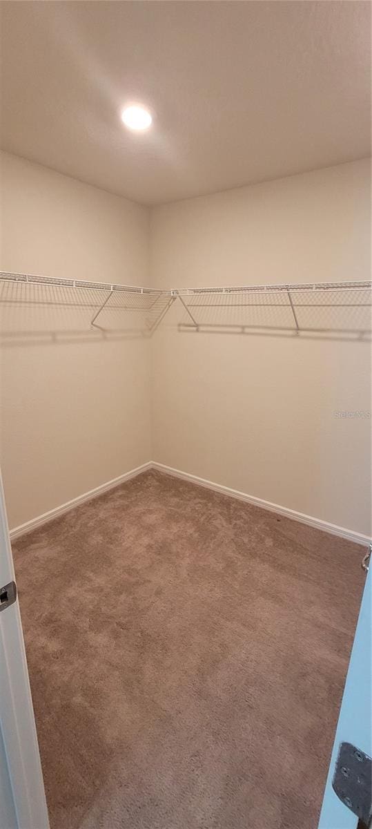 1556 Aspen Ave, Davenport, FL 33837 - walk in closet with carpet flooring