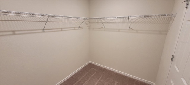 1556 Aspen Ave, Davenport, FL 33837 - spacious closet with dark carpet