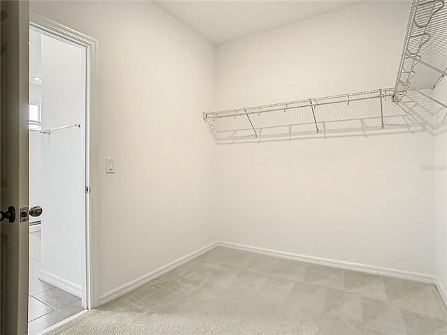 11037 Bagley Aly, Windermere, FL 34786 - walk in closet with light carpet