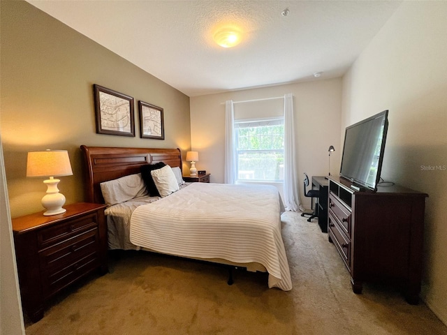 5356 Diplomat Ct Unit 108, Kissimmee, FL 34746 - bedroom with light colored carpet