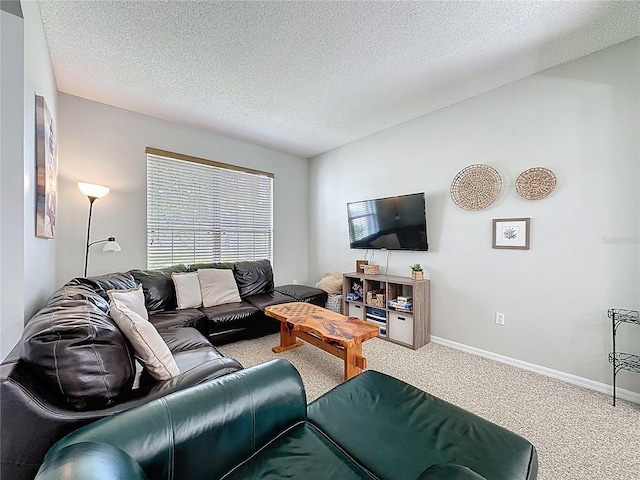 1426 Park Park, Haines City, FL 33844 - living area with carpet flooring and a textured ceiling