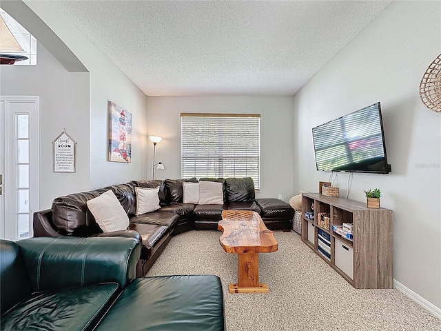 1426 Park Park, Haines City, FL 33844 - carpeted living area with a textured ceiling and plenty of natural light
