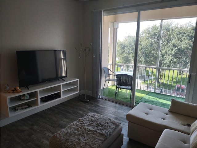 8101 Coconut Palm Way Unit 303, Kissimmee, FL 34747 - living area with dark wood-style floors and baseboards