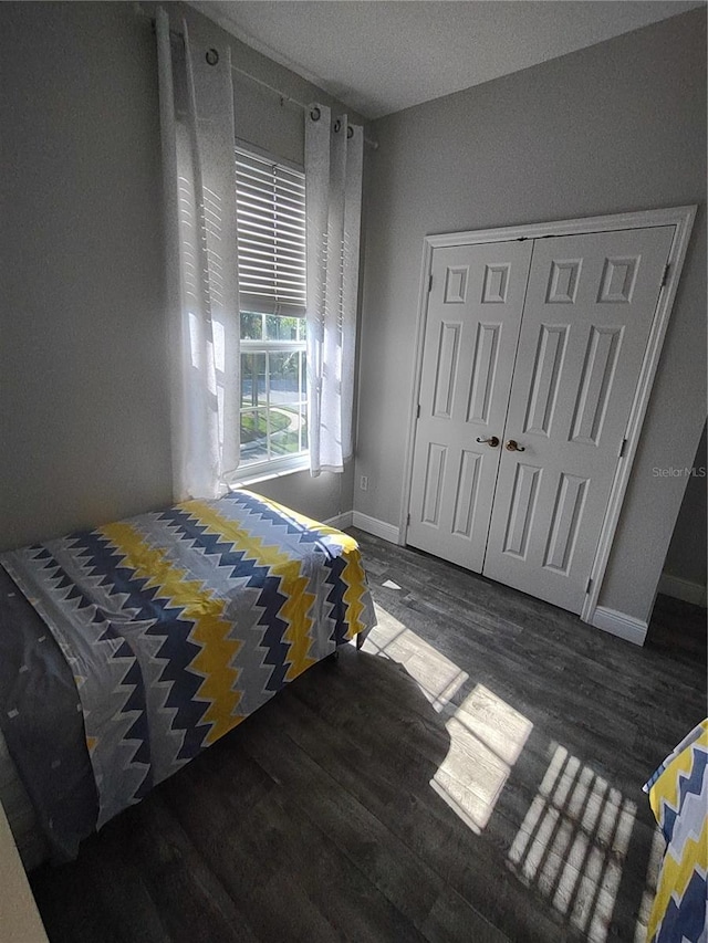 8101 Coconut Palm Way Unit 303, Kissimmee, FL 34747 - bedroom with wood finished floors, baseboards, and a closet