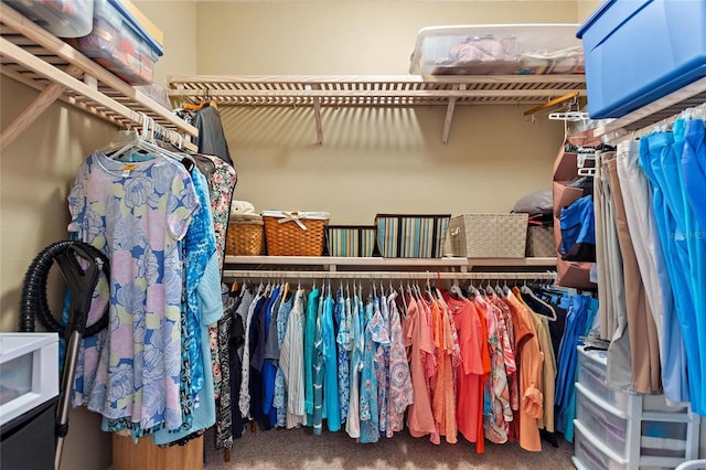 4236 Lakewood Rd, Sebring, FL 33875 - spacious closet featuring carpet flooring