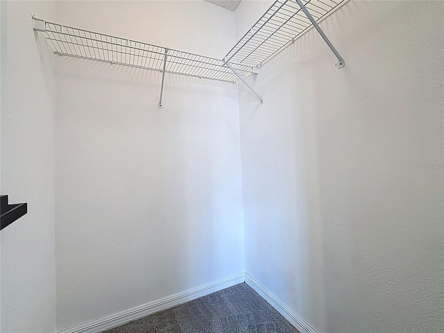 1428 Park Pl, Haines City, FL 33844 - spacious closet with carpet flooring