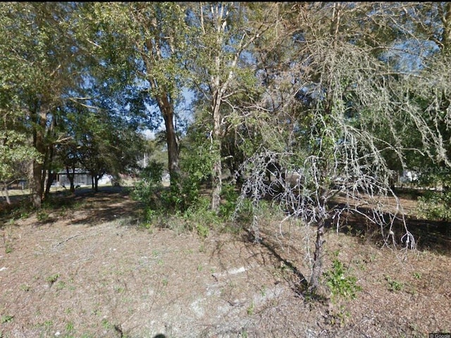 17449 NW 89th Ter, Fanning Springs, FL 32693