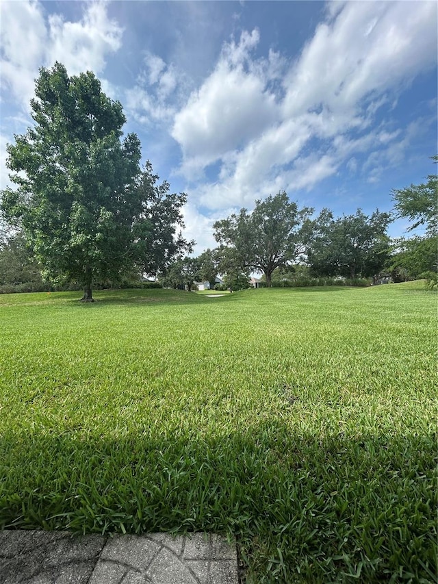 3244 River Branch Cir, Kissimmee, FL 34741 - view of grassy yard