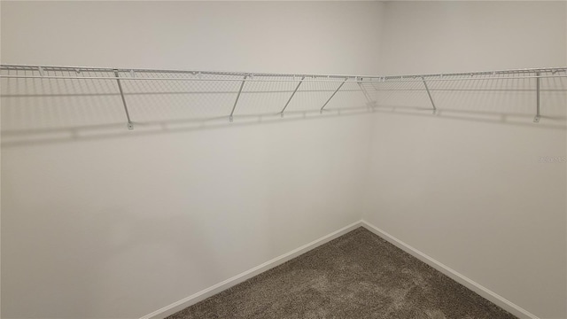 443 Cool Summer Ln, Davenport, FL 33837 - spacious closet featuring dark carpet