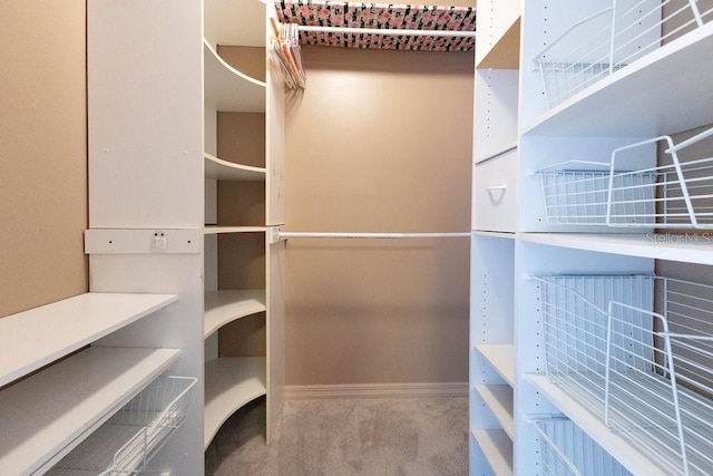 6555 Bay Tree Ct, Saint Cloud, FL 34771 - walk in closet featuring carpet