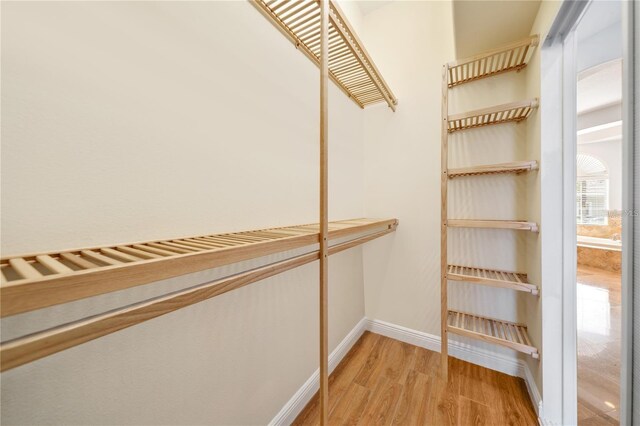 2333 Pinehurst Ct, Davenport, FL 33837 - walk in closet featuring light wood-style flooring