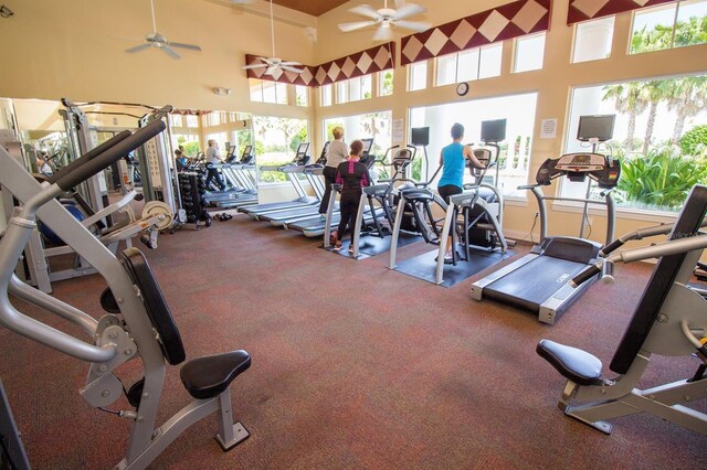 2333 Pinehurst Ct, Davenport, FL 33837 - gym with plenty of natural light and ceiling fan