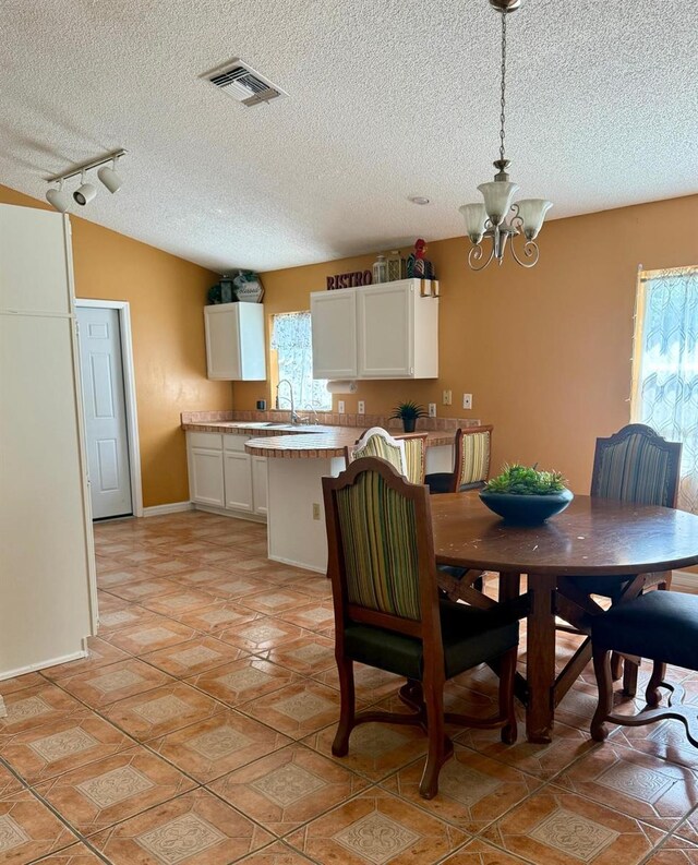 2779 Theresa Dr, Kissimmee, FL 34744 - dining room featuring healthy amount of natural light, a chandelier, rail lighting, a textured ceiling, and baseboards