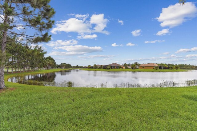 561 Tapatio Ln, Kissimmee, FL 34759 - photo 46