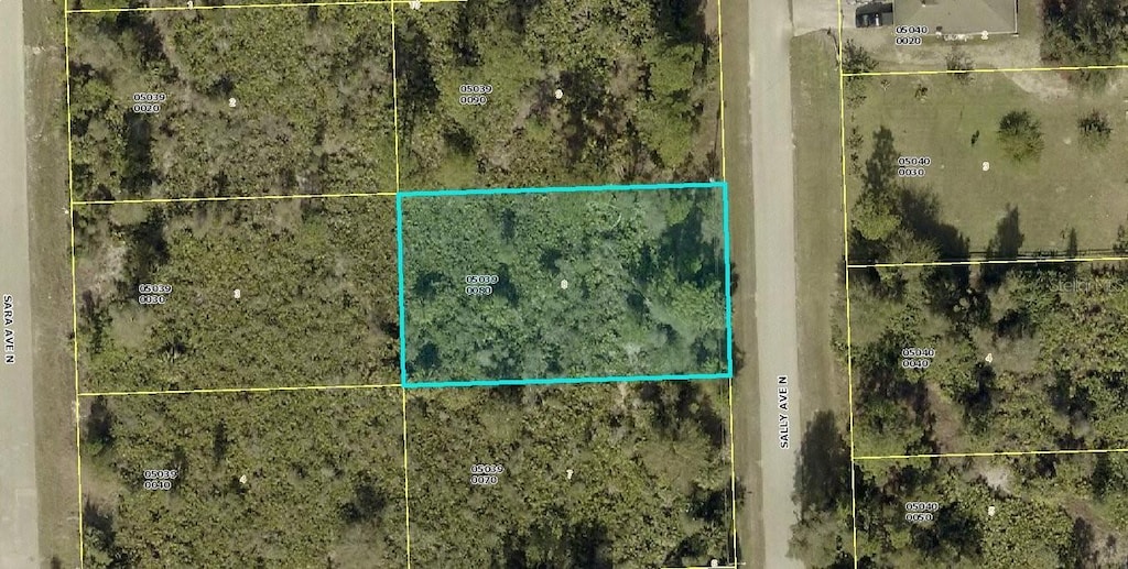6005 Sally Ave N, Lehigh Acres, FL 33971