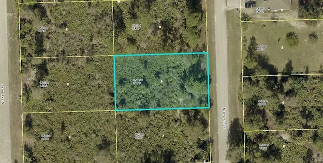6005 Sally Ave N, Lehigh Acres, FL 33971