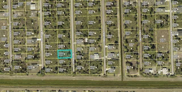 6005 Sally Ave N, Lehigh Acres, FL 33971