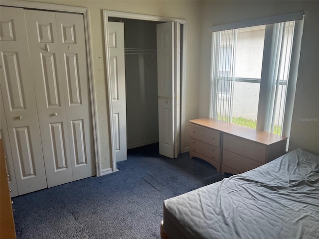 123 S Roma Way, Kissimmee, FL 34746 - bedroom featuring carpet and multiple closets