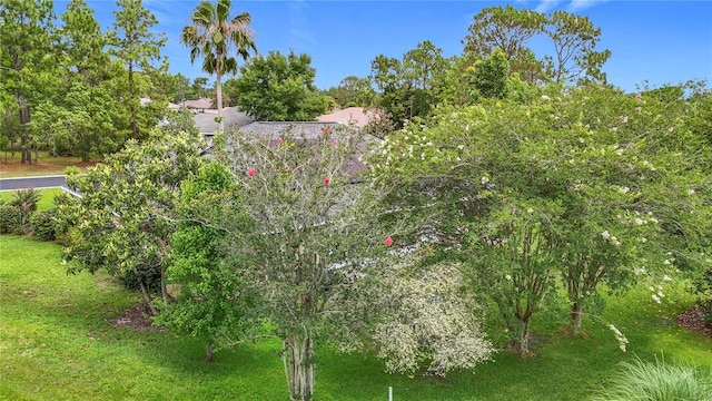 30 Lake Diamond Ave, Ocala, FL 34472 - view of undeveloped land