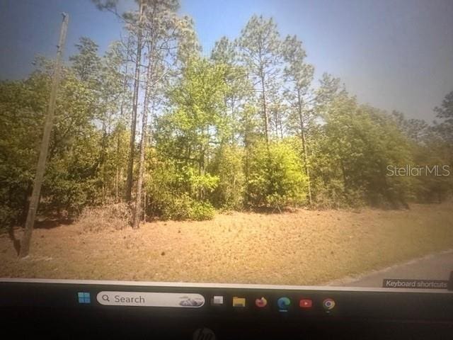 SW 207th Ct, Dunnellon, FL 34431